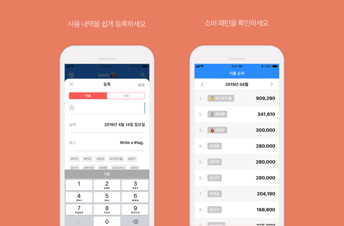 태그가계부 IOS App 스크린샷